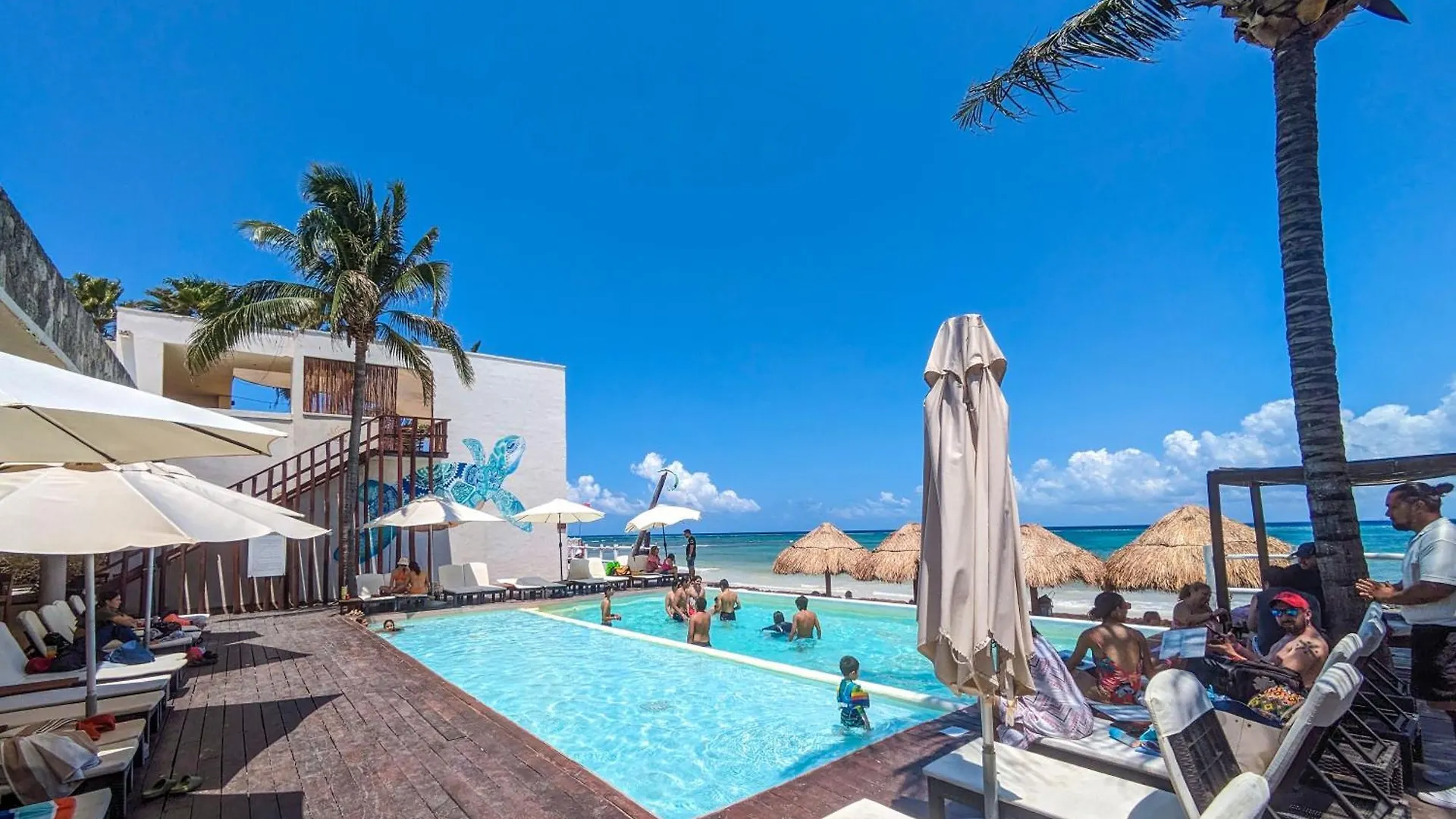 B1 Romantic Beachside Escape Capri Theme Memory Foam Queen Bed Kitchen Ac Playa del Carmen 0*,